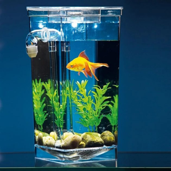 Маленький акваріум з підсвічуванням LED для рибок самоочищається My Fun Fish SS-78