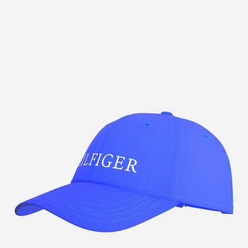 Кепка мужская Tommy Hilfiger 493616346 One Size Синяя (1159788593)