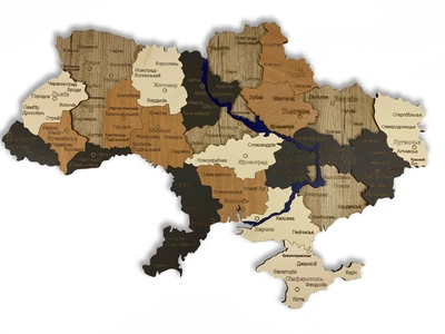 Карта Украины из натурального дерева на стену 74х50 см большая (JDT-0846120)