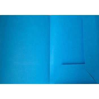 Папка А4 для архивации Esselte Orgarex, синяя