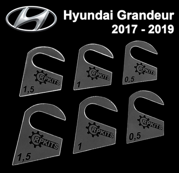 Пластини від провисання дверей Hyundai Grandeur 2017-2019 (1 двері)