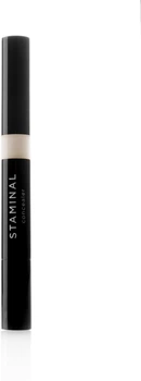Корректор с кисточкой NoUBA Staminal Concealer 04 (2 мл) (223870-977419-2)
