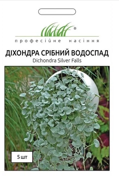 Діхондра Срібний водоспад Професійне насіння 5 шт
