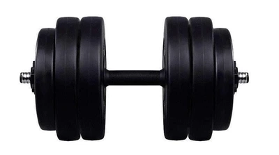 Гантель Neo Sport 26 кг (26kg-2)