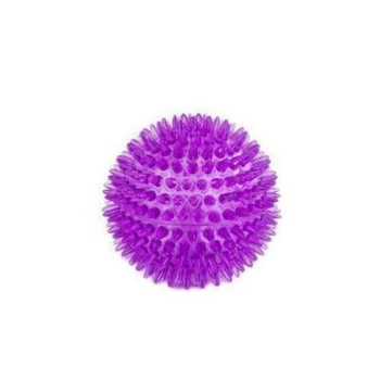 Игрушка AnimAll GrizZzly Колючий мяч с пищалкой фиолетовый с шипами 8.4 см 9987