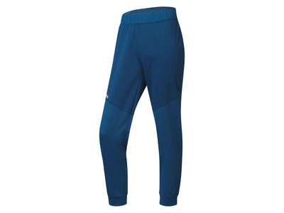 Спортивные штаны джоггеры Softshell / Софтшелл для мужчины Crivit LIDL 424562 XL Синий