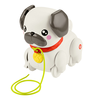 Zabawka Fisher-Price Pets Walk-the-pup (194735199112)