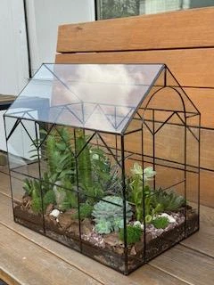 Флорариум с суккулентами Оранжерея 35см х 30см