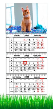 Календар на 2025 рік, Apriori , Календар настінний квартальний на 2025 рік, на три пружини , Рудий Кіт , Мейн-кун , 29,7х61 см