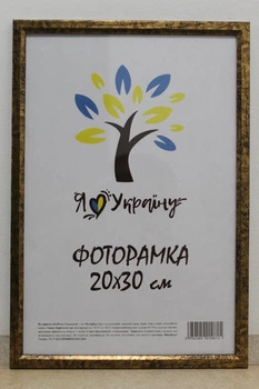 Фоторамка 20Х30, состаренное золото с золотой вставкой, 1210-3055, СКЛО + КАРТОН
