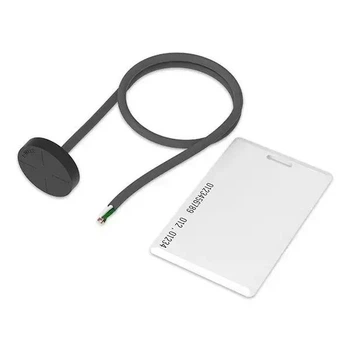 Зчитувач RFID з карткою Teltonika (PRIEDASKIR)