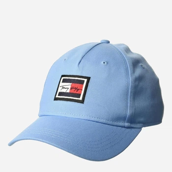 Кепка мужская Tommy Hilfiger 194472350 One Size Голубая (1159809696)
