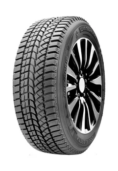 Doublestar WINTERKING DW02 (225/55R18 98S)