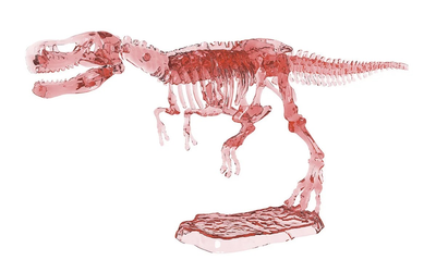 Zestaw naukowy Moses wykopaliska szkielet dinozaura T-Rex (5905116623721)