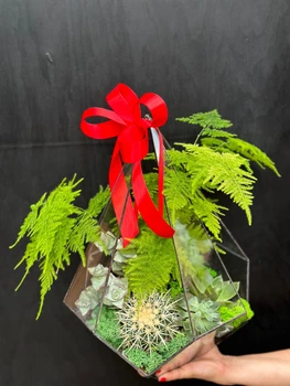 Флораріум "Plants room" капля h 40 см