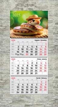 Календар настінний квартальний Рік змії ENTERSTORE 63,0х29.7 см (ART 250311)