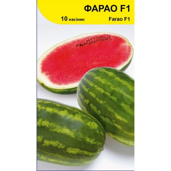Семена арбуза Фарао F1 (Farao), раннеспелый, Syngenta, 10 шт.