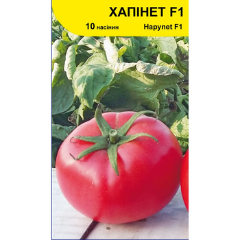 Насіння томата Хапінет F1, середньоранній, Syngenta, 10 шт.