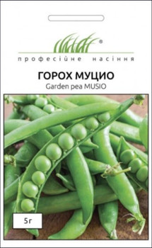 Насіння Горох Муціо, 5 г (Syngenta)