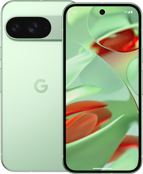 Мобільний телефон Google Pixel 9 12/128GB Wintergreen (840353911345)