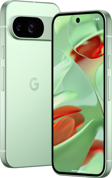 Мобільний телефон Google Pixel 9 12/128GB Wintergreen (840353911345)