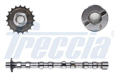 Распределительный вал Freccia (CM052176)