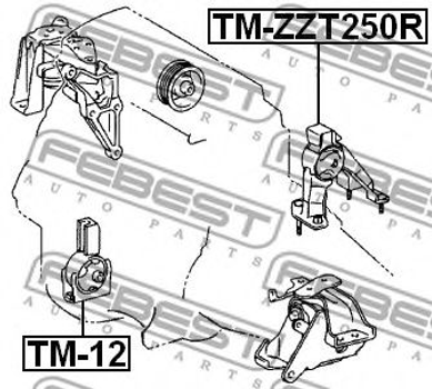Опора двигуна / КПП Febest (TMZZT250R)