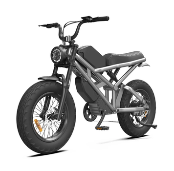 Електровелосипед Rooder 1000W 48V 25Ah Сірий