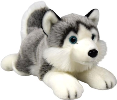 Maskotka Dubi Husky w pozycji leżącej 34 cm (5906655048853)