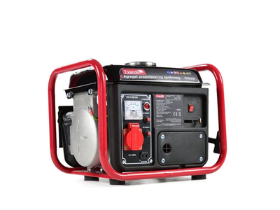 Бензиновый генератор Geko Tvardy T05001