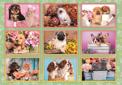 Puzzle Clementoni Super Puppies Collage 180 elementów (8005125297887)