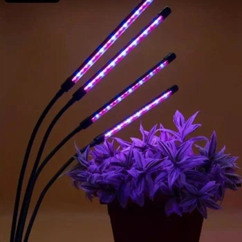 Фитолампа для растений на 4 ветки LED 20Вт с синим, красным и фиолетовым светом, настольная светодиодная лампа с таймером, клипсой-зажимом и USB питанием для подсветки рассады, комнатных и тепличных растений. Черная TRF84