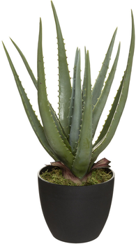 Sztuczny aloes Atmosphera real touch zielone (3560233822932)