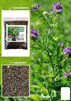 Люцерна оброблена (магнічена) "Надія" Agro-Market 1кг (112608)
