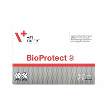 Капсули VetExpert BioProtect для котів і собак при порушенні мікрофлори ШКТ, 60 капсул