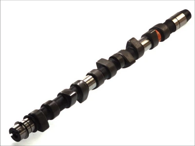 Распредвал AE CAM442 Volkswagen Transporter, LT, Crafter; Audi 100, A6; Volvo V70, S80 074109101J, 074109101E, 046109101K