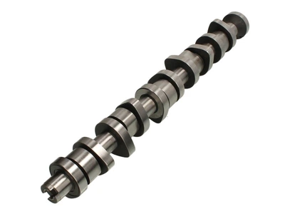 Распредвал AE CAM916 Volkswagen Touareg, Transporter, Multivan 070109101P