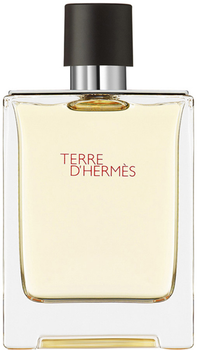 Туалетна вода для чоловіків Hermes Terre d'Hermes 100 мл (3346131400003 / 3346130009603)