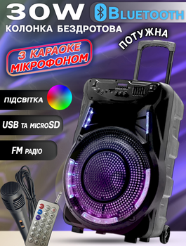 Акустическая система Bluetooth MHZ Goldteller 602-30W с подсветкой динамика+микрофон+пульт