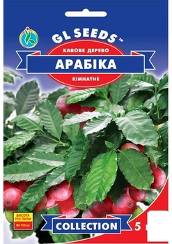 Кавове дерево кімнатне "Арабіка" ТМ "GL SEEDS" 5шт (18937)
