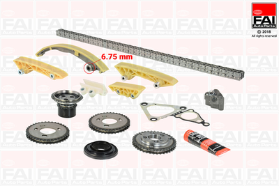 Комплект ланцюга ГРМ FAI Auto Parts Ford Mondeo III (B5Y) 2.0 16V DI / TDDI / TDCI (Sdba) 10/2000_03/2007 (TCK47)