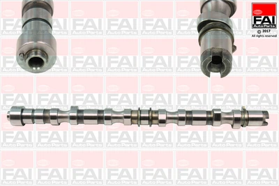Розподільний вал FAI Auto Parts Chevrolet Captiva (C100, C140) 2.0 D 4WD (Llw) 10/2006_ (C345)