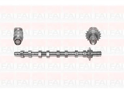 Розподільний вал FAI Auto Parts Citroën Berlingo / Berlingo First Box Body/MPV (M_) 1.6 Hdi 90 (Mb9hx, Mc9hx) (9hx (Dv6ated4)) 07/2005_12/2011 (C266)
