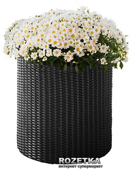 Горщик для квітів Keter Cylinder Planter S Сірий (7290103668204)