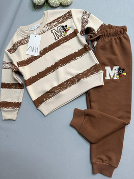 Комплект для мальчика Zara, свитшот и коричневые штаны, рост 110 см (2349967539-KID)