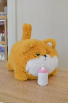 Pin Cat AHHA17 Pin Cat AHHA17