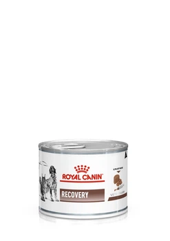 Корм Royal Canin Recovery влажный для котов и собак в период восстановления 195 гр