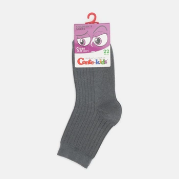 Детские носки хлопковые Conte Kids Class-13C-9CП-156 22 Серые (4810226039977)