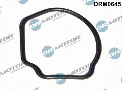 Прокладання термостату Dr.Motor DRM0645 Ford KA; Fiat 500, Panda, Doblo, Punto; Opel Combo; Suzuki Swift 1539555, 1769984E50, 6338027