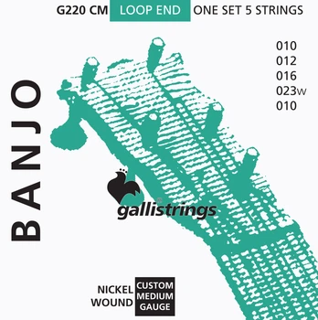 Струни для банджо Gallistrings G220 CM (.010-.023), CUSTOM MEDIUM, Steel